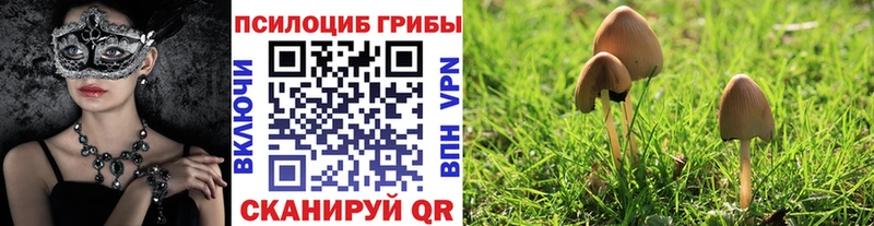 Галлюциногенные грибы мицелий  Купить  Кинешма 